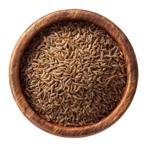 Cumin Seeds - Cuminum cyminum