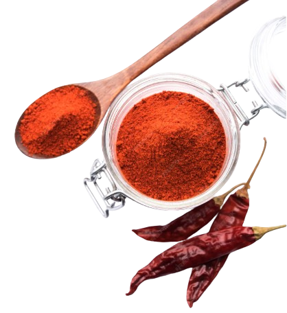 Red Chilli - Capsicum annuum